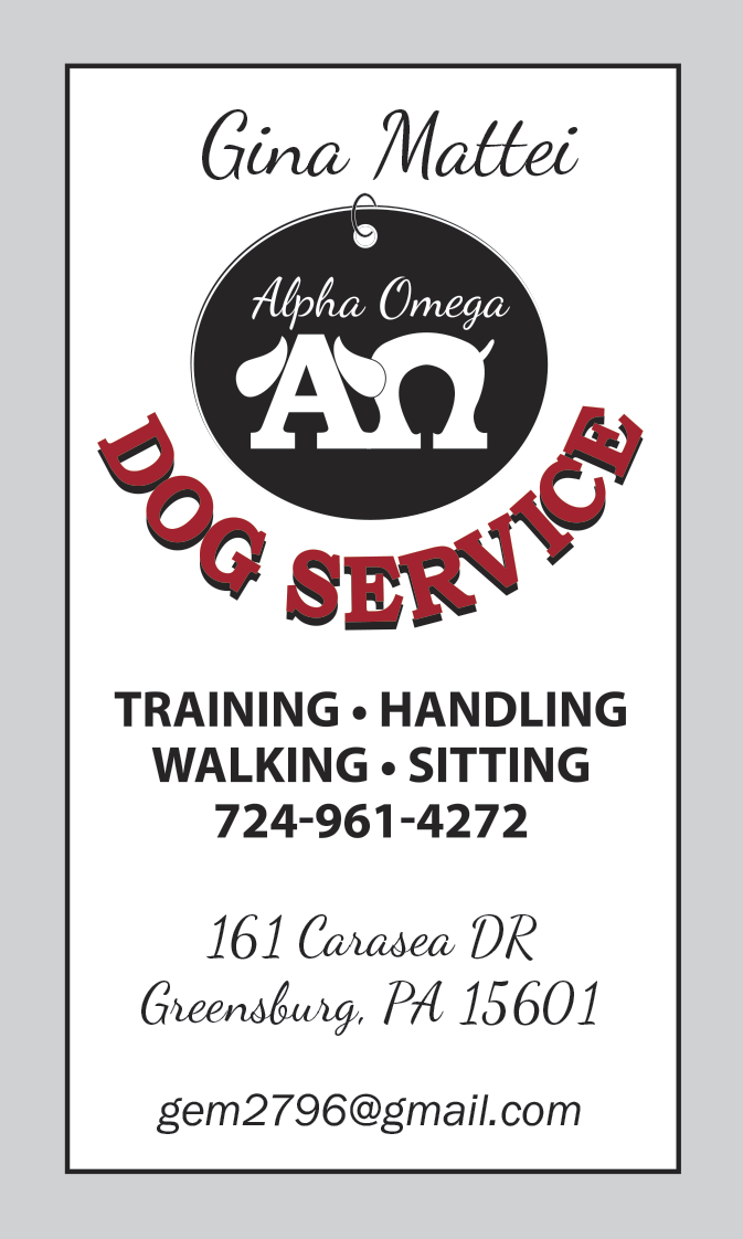 dog training business cards