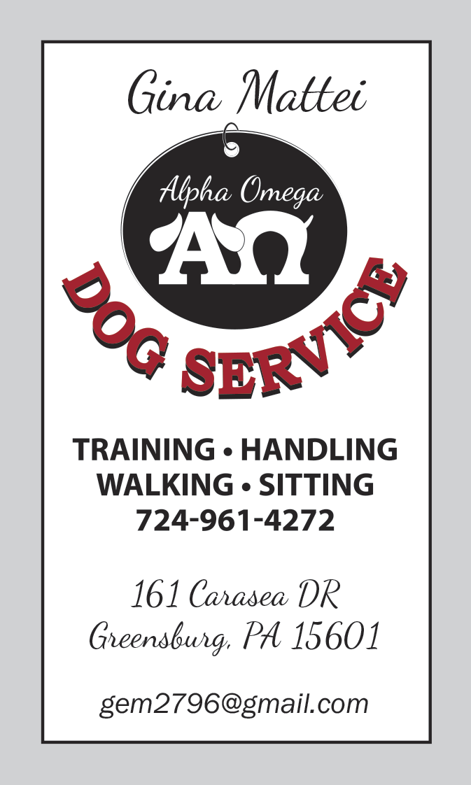 Alpha Omega Dog Service Dog Training and Services from Beginning