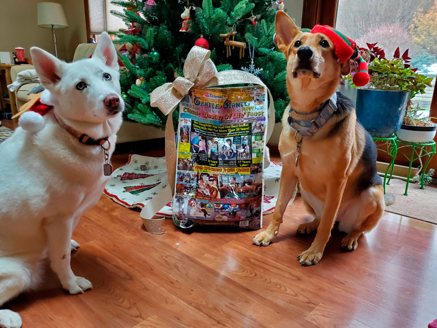 gentle-giants-dog-food gentle giants dog food