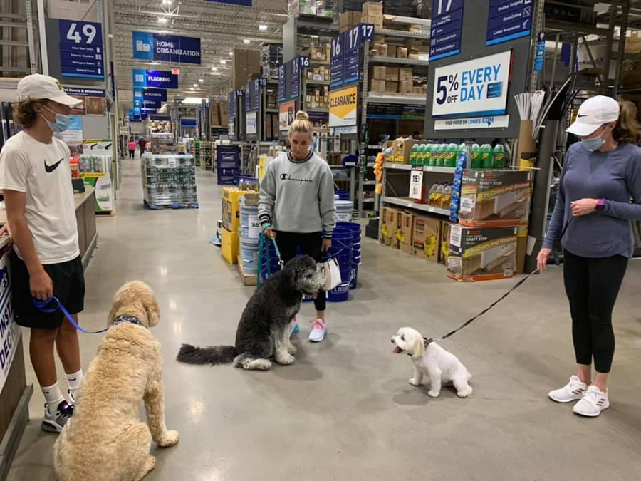 dog training class