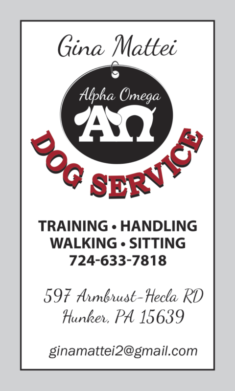 alpha omega dog training