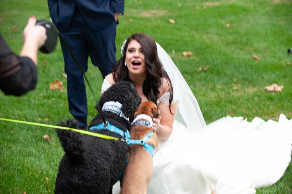 wedding dog service