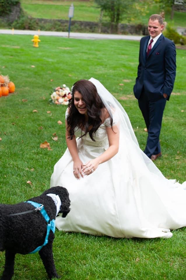 wedding dog service