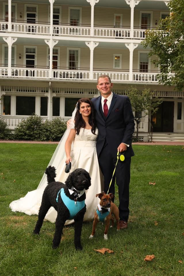 wedding dog service