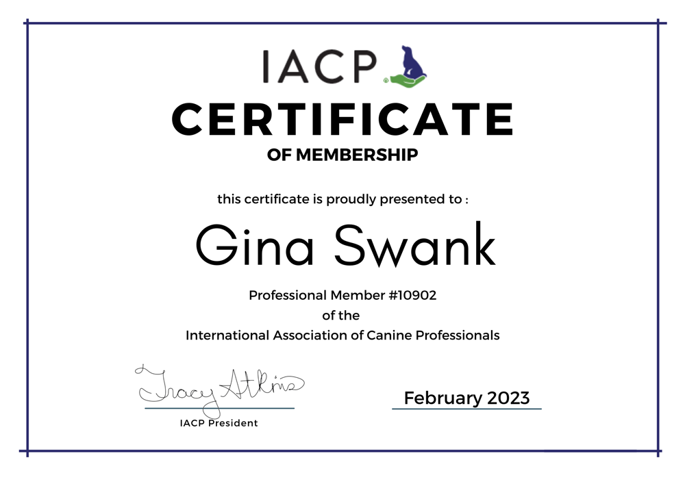 IACP Certificate